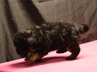 processed/36180fa9-48bf-43b5-bd6c-12d254bd4cc7/listing/dd860589-caa7-4620-9426-1447a4a7a69b/8c077cec-7cc2-4652-b3c6-8af2af6e4b3c