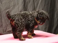 processed/36180fa9-48bf-43b5-bd6c-12d254bd4cc7/listing/dd860589-caa7-4620-9426-1447a4a7a69b/99c096ef-0ee0-4f47-9f5d-42b3cec5a7b7