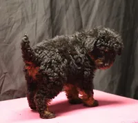 processed/36180fa9-48bf-43b5-bd6c-12d254bd4cc7/listing/dd860589-caa7-4620-9426-1447a4a7a69b/b12b68ac-7dcd-409c-a744-9d90baabdb00