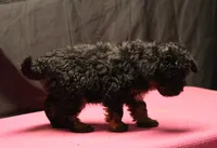 processed/36180fa9-48bf-43b5-bd6c-12d254bd4cc7/listing/dd860589-caa7-4620-9426-1447a4a7a69b/ccb7cecf-5ad1-42db-8f83-5cc481fbafba