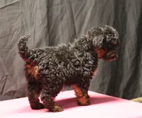 processed/36180fa9-48bf-43b5-bd6c-12d254bd4cc7/listing/dd860589-caa7-4620-9426-1447a4a7a69b/fcc5f70e-b6fd-46c4-a5b5-e939653664ba