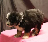 processed/36180fa9-48bf-43b5-bd6c-12d254bd4cc7/listing/e1f72d71-c168-4624-860b-c304a87300f8/56f6a4c7-b0d4-4165-8532-58b85aabca9c