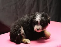 processed/36180fa9-48bf-43b5-bd6c-12d254bd4cc7/listing/e1f72d71-c168-4624-860b-c304a87300f8/6e40eefc-344c-404e-8d10-0a16ac97dad7