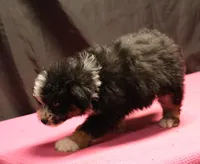 processed/36180fa9-48bf-43b5-bd6c-12d254bd4cc7/listing/e1f72d71-c168-4624-860b-c304a87300f8/7866e0bd-9527-435e-9adb-06e37a282f09