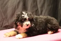 processed/36180fa9-48bf-43b5-bd6c-12d254bd4cc7/listing/e1f72d71-c168-4624-860b-c304a87300f8/9b42a9cd-08c1-4c64-8076-faeae09153ca