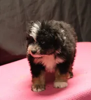 processed/36180fa9-48bf-43b5-bd6c-12d254bd4cc7/listing/e1f72d71-c168-4624-860b-c304a87300f8/a0ea1b79-def0-4275-ab39-104eadcc195f