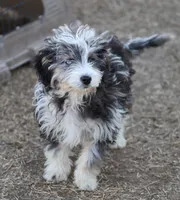 processed/36180fa9-48bf-43b5-bd6c-12d254bd4cc7/listing/f1fd5e9e-db1e-4a7c-bd73-4ebd11aa164b/1c2f9e60-eb05-4f96-90c7-1561d66c46d0