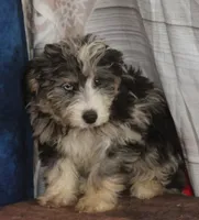 processed/36180fa9-48bf-43b5-bd6c-12d254bd4cc7/listing/f1fd5e9e-db1e-4a7c-bd73-4ebd11aa164b/3506864c-f5ef-418a-aec8-312a5497f1ba