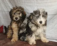 processed/36180fa9-48bf-43b5-bd6c-12d254bd4cc7/listing/f1fd5e9e-db1e-4a7c-bd73-4ebd11aa164b/5838c735-cf40-4f42-878b-364546ab93b3