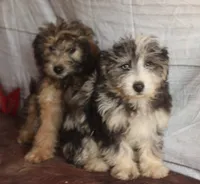 processed/36180fa9-48bf-43b5-bd6c-12d254bd4cc7/listing/f1fd5e9e-db1e-4a7c-bd73-4ebd11aa164b/67312448-ac91-4bc4-ae81-a0ade3e4f21b