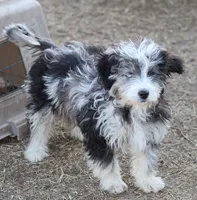 processed/36180fa9-48bf-43b5-bd6c-12d254bd4cc7/listing/f1fd5e9e-db1e-4a7c-bd73-4ebd11aa164b/7185376d-7a1f-472f-b1db-abec761da0b4