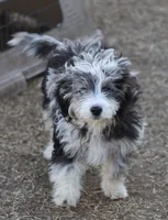 processed/36180fa9-48bf-43b5-bd6c-12d254bd4cc7/listing/f1fd5e9e-db1e-4a7c-bd73-4ebd11aa164b/998a0849-9ed8-4a3d-91ec-96c677a180fd