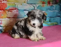 processed/36180fa9-48bf-43b5-bd6c-12d254bd4cc7/listing/f1fd5e9e-db1e-4a7c-bd73-4ebd11aa164b/b6616e49-d189-4c3d-85c7-30b4afa4de51