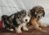 processed/36180fa9-48bf-43b5-bd6c-12d254bd4cc7/listing/f1fd5e9e-db1e-4a7c-bd73-4ebd11aa164b/f2386419-11d8-4f2d-bda4-bcb962cf048b