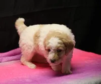 processed/36180fa9-48bf-43b5-bd6c-12d254bd4cc7/listing/f7787f40-59e8-4949-8d12-122a23bce06c/23d2a783-965b-47ab-b179-ac6219cdf3ff