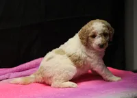 processed/36180fa9-48bf-43b5-bd6c-12d254bd4cc7/listing/f7787f40-59e8-4949-8d12-122a23bce06c/51d1b60c-3370-4d54-9b35-2995181f6dff