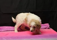 processed/36180fa9-48bf-43b5-bd6c-12d254bd4cc7/listing/f7787f40-59e8-4949-8d12-122a23bce06c/ac42b442-1207-49d1-9037-29b8789d260d