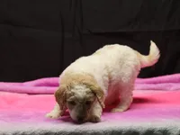 processed/36180fa9-48bf-43b5-bd6c-12d254bd4cc7/listing/f7787f40-59e8-4949-8d12-122a23bce06c/ae2b0702-c027-431b-b756-544c5aca34d7