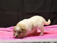 processed/36180fa9-48bf-43b5-bd6c-12d254bd4cc7/listing/f7787f40-59e8-4949-8d12-122a23bce06c/d502f5d4-5c9d-4c80-9964-9b165434d58f