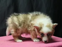 processed/36180fa9-48bf-43b5-bd6c-12d254bd4cc7/listing/f8d9cff4-25f0-4e63-a2c0-7f0f636a2546/16a80807-4caf-42bf-9528-3b26d8b43a63