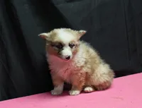 processed/36180fa9-48bf-43b5-bd6c-12d254bd4cc7/listing/f8d9cff4-25f0-4e63-a2c0-7f0f636a2546/176f0651-8291-4597-adbe-d2e07d6aa088