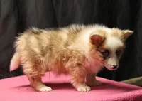 processed/36180fa9-48bf-43b5-bd6c-12d254bd4cc7/listing/f8d9cff4-25f0-4e63-a2c0-7f0f636a2546/24793184-cfd7-4a30-9c7b-374b6c150bc3