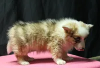 processed/36180fa9-48bf-43b5-bd6c-12d254bd4cc7/listing/f8d9cff4-25f0-4e63-a2c0-7f0f636a2546/5f516328-b343-41f6-af78-346f6dfe50cd