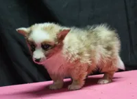 processed/36180fa9-48bf-43b5-bd6c-12d254bd4cc7/listing/f8d9cff4-25f0-4e63-a2c0-7f0f636a2546/8336ae05-713a-446e-b2bd-04d5258724d8