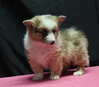 processed/36180fa9-48bf-43b5-bd6c-12d254bd4cc7/listing/f8d9cff4-25f0-4e63-a2c0-7f0f636a2546/9410e483-0dda-49b1-b99e-9f218dd8a22b