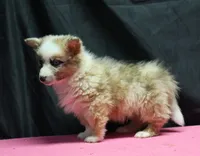 processed/36180fa9-48bf-43b5-bd6c-12d254bd4cc7/listing/f8d9cff4-25f0-4e63-a2c0-7f0f636a2546/9c891767-908f-494e-b25d-ba0c868103a3