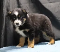 processed/36180fa9-48bf-43b5-bd6c-12d254bd4cc7/listing/f96d0b28-ec4a-4497-96ab-8056980b413e/02f6e8ab-6ac5-4775-8922-4c0ce6b09cf5