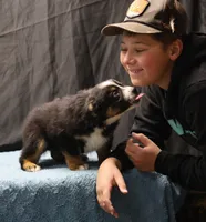 processed/36180fa9-48bf-43b5-bd6c-12d254bd4cc7/listing/f96d0b28-ec4a-4497-96ab-8056980b413e/0f5c919a-6ecf-4d71-9c56-26de8caacd2a