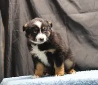 processed/36180fa9-48bf-43b5-bd6c-12d254bd4cc7/listing/f96d0b28-ec4a-4497-96ab-8056980b413e/1e8ece9f-a1d5-4076-a9fb-2616630e905c