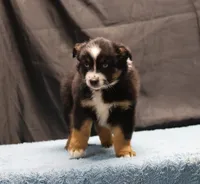 processed/36180fa9-48bf-43b5-bd6c-12d254bd4cc7/listing/f96d0b28-ec4a-4497-96ab-8056980b413e/208d5502-159a-436f-a0e4-3f6fbdb0ba78