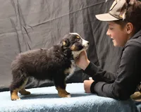 processed/36180fa9-48bf-43b5-bd6c-12d254bd4cc7/listing/f96d0b28-ec4a-4497-96ab-8056980b413e/6fa3a598-4fcb-4f1b-a264-5c8eccef9cf0