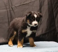 processed/36180fa9-48bf-43b5-bd6c-12d254bd4cc7/listing/f96d0b28-ec4a-4497-96ab-8056980b413e/8f2c1258-ec1d-4627-9bbb-cb5d91213acc