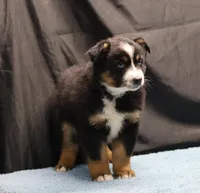 processed/36180fa9-48bf-43b5-bd6c-12d254bd4cc7/listing/f96d0b28-ec4a-4497-96ab-8056980b413e/b285fecd-fcf8-4ba2-a887-79b7f8f855df