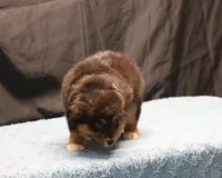 processed/36180fa9-48bf-43b5-bd6c-12d254bd4cc7/listing/f986dcff-28d2-4a29-90cd-43ee09bf01a0/16d2fb0d-887b-41e0-ac42-0112285f4b7d