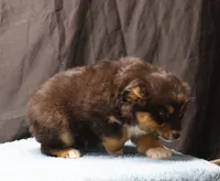 processed/36180fa9-48bf-43b5-bd6c-12d254bd4cc7/listing/f986dcff-28d2-4a29-90cd-43ee09bf01a0/27d01fe6-6a69-4659-9a68-ba7267432a35