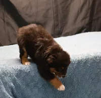 processed/36180fa9-48bf-43b5-bd6c-12d254bd4cc7/listing/f986dcff-28d2-4a29-90cd-43ee09bf01a0/4b058c7a-d6f5-4b41-be28-fc04d0daf6d1