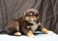 processed/36180fa9-48bf-43b5-bd6c-12d254bd4cc7/listing/f986dcff-28d2-4a29-90cd-43ee09bf01a0/d1d82108-ab50-4375-aa97-af36c7725525