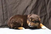 processed/36180fa9-48bf-43b5-bd6c-12d254bd4cc7/listing/f986dcff-28d2-4a29-90cd-43ee09bf01a0/db2d3eb4-decf-461c-af6a-3f8443d7fbfc