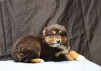 processed/36180fa9-48bf-43b5-bd6c-12d254bd4cc7/listing/f986dcff-28d2-4a29-90cd-43ee09bf01a0/f1c56353-1be9-41b3-9d13-ff695a1af303