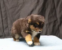 processed/36180fa9-48bf-43b5-bd6c-12d254bd4cc7/listing/f986dcff-28d2-4a29-90cd-43ee09bf01a0/f765dc34-d90c-4d34-be62-1fd4999e2a49