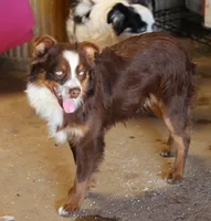 processed/36180fa9-48bf-43b5-bd6c-12d254bd4cc7/listing/fa23a2db-1362-4765-9c33-c32e13d321b2/34d69df8-fa1f-472d-995b-5d345cb9689c