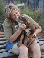 processed/36180fa9-48bf-43b5-bd6c-12d254bd4cc7/listing/fa23a2db-1362-4765-9c33-c32e13d321b2/36f02c04-983a-4348-8c5d-80912e567164