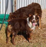 processed/36180fa9-48bf-43b5-bd6c-12d254bd4cc7/listing/fa23a2db-1362-4765-9c33-c32e13d321b2/8bae180b-c918-409b-9c0c-c6713be8765e