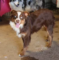 processed/36180fa9-48bf-43b5-bd6c-12d254bd4cc7/listing/fa23a2db-1362-4765-9c33-c32e13d321b2/92d86db3-fc23-47a7-835c-bff7cd38e0a1