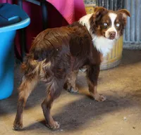 processed/36180fa9-48bf-43b5-bd6c-12d254bd4cc7/listing/fa23a2db-1362-4765-9c33-c32e13d321b2/af6c041f-0bac-481d-adb2-0b69d0e81a43