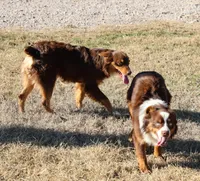 processed/36180fa9-48bf-43b5-bd6c-12d254bd4cc7/listing/fa23a2db-1362-4765-9c33-c32e13d321b2/e6073d78-6dc4-452a-ba13-d317fdda006e